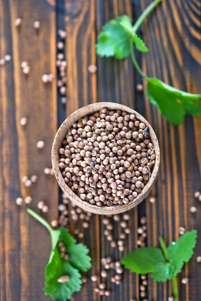 Coriander seeds in bowl — Stock Photo, Image