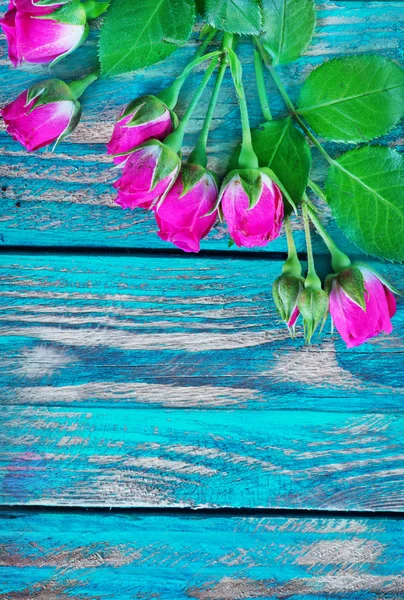 Flores em fundo de madeira — Fotografia de Stock