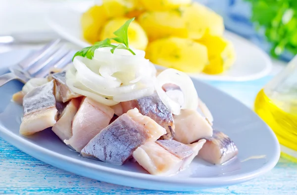 Hering mit Zwiebel auf Teller — Stockfoto