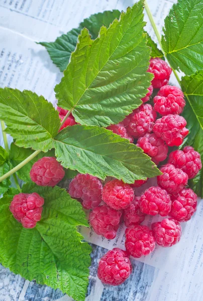 Frische Himbeeren und grüne Blätter — Stockfoto