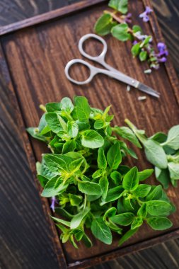 Mutfak masasının üzerinde taze ot