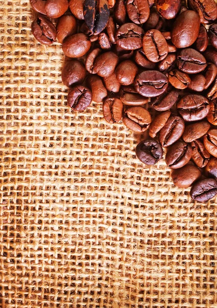 Coffee beans — Stock Photo, Image