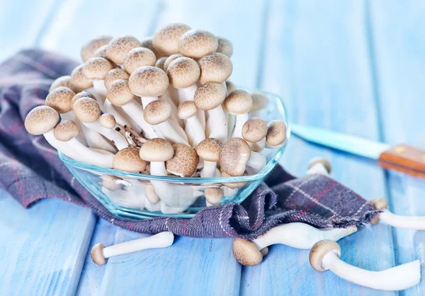 Raw mushrooms in glass bowl — Stock Photo, Image