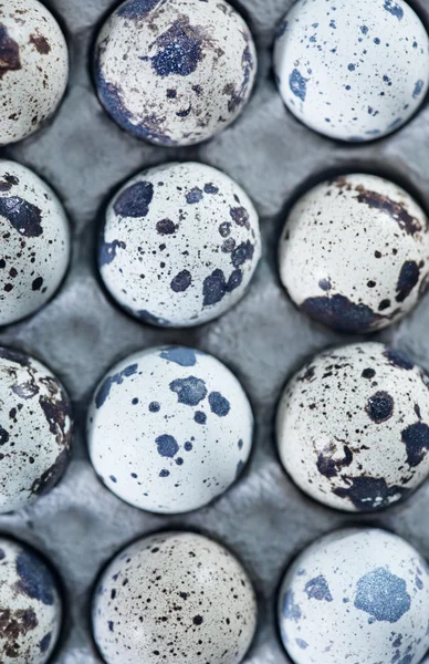 Ovos de codorniz — Fotografia de Stock