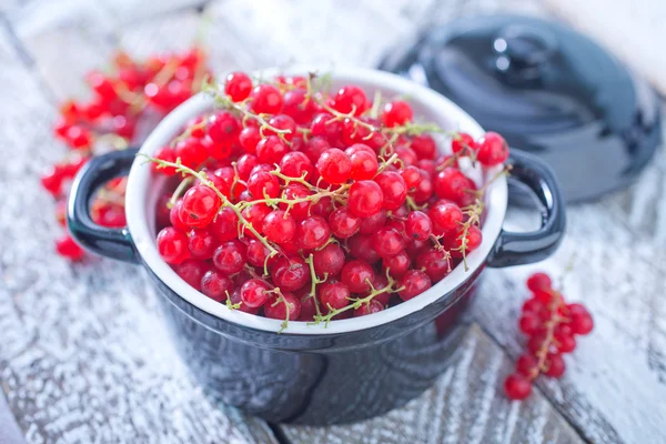 Frische rote Johannisbeere — Stockfoto