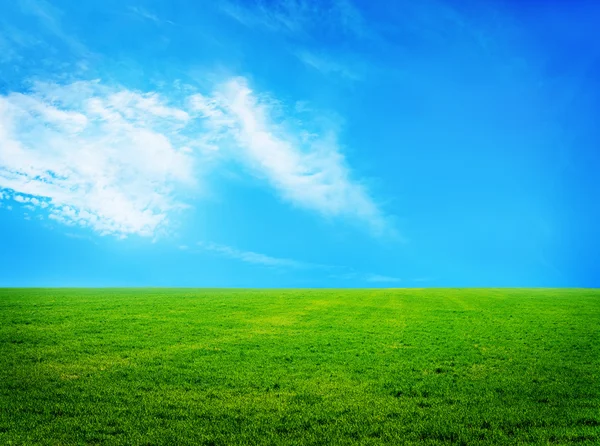 Nature background, grass and sky — Stock Photo, Image