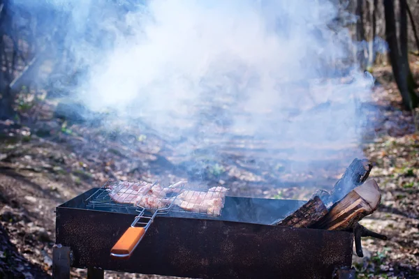Barbecue in the forest — Stock Photo, Image