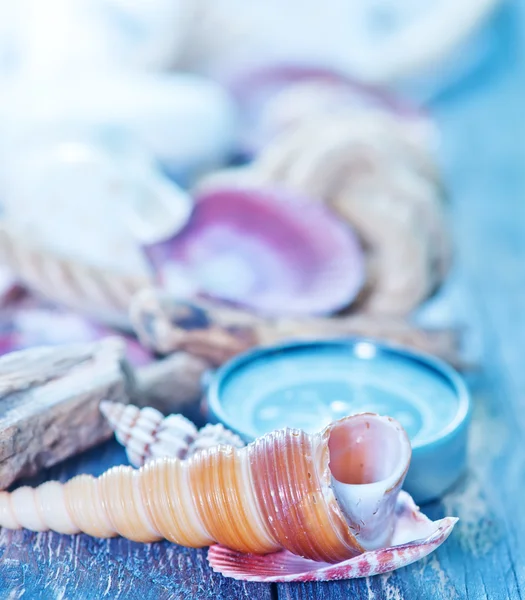 Conchas do mar e bússola em uma mesa — Fotografia de Stock