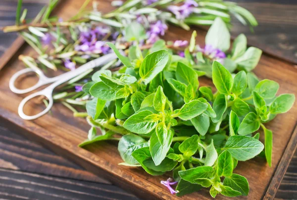 Aroma herbs on wooden board — Stock Photo, Image