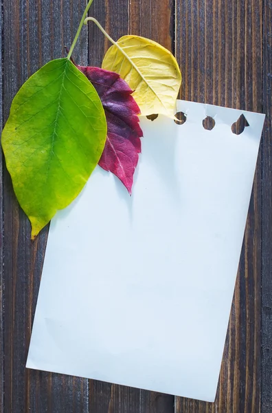 Dry leaves and note — Stock Photo, Image