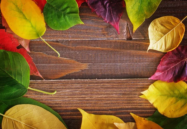 Hösten löv på trä bakgrund — Stockfoto