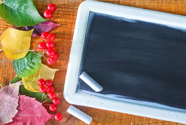 Feuilles de couleur et panneau noir sur une table — Photo