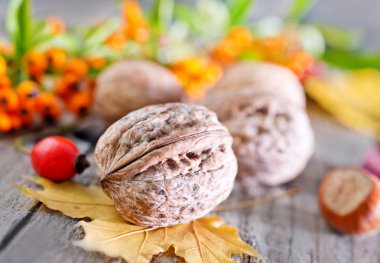 Alıç ve masanın üzerine ceviz