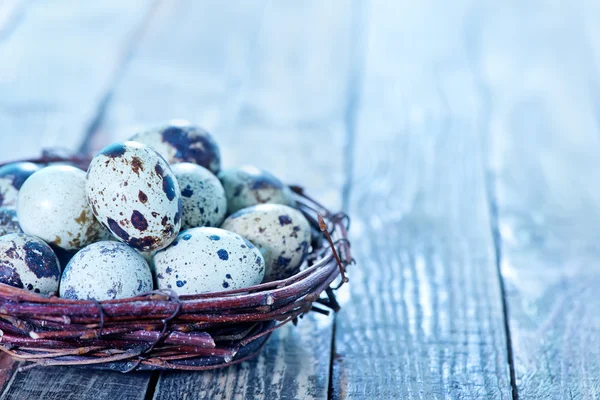 Vaktelägg i boet — Stockfoto