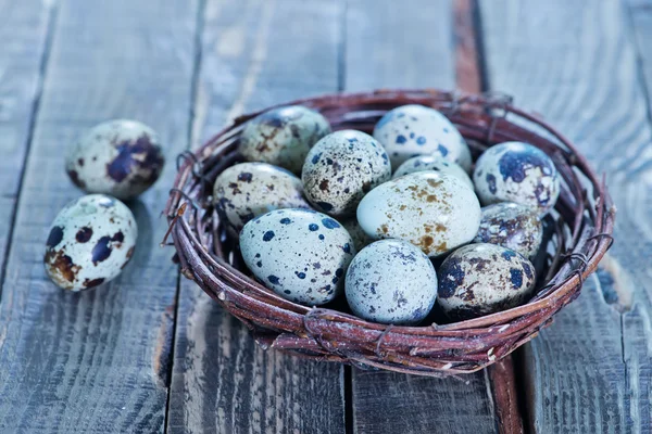 Wachteleier im Nest — Stockfoto