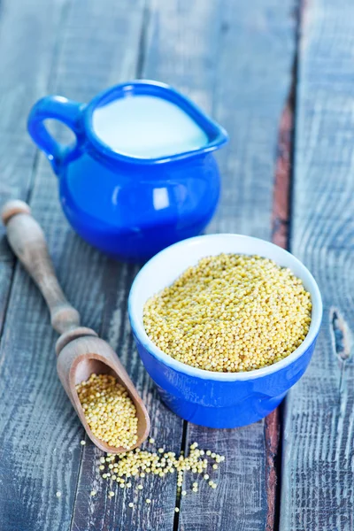 Millet porridge in bowl — Stock Photo, Image