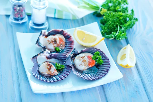 Scallop — Stock Photo, Image