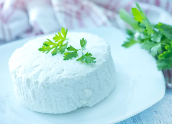 Queso con perejil fresco —  Fotos de Stock