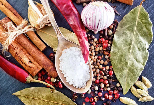 Gewürze und Salz im Löffel — Stockfoto