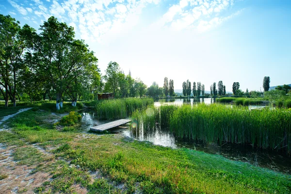 stock image Spring lake in Crimea