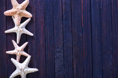 starfishes ahşap zemin üzerinde