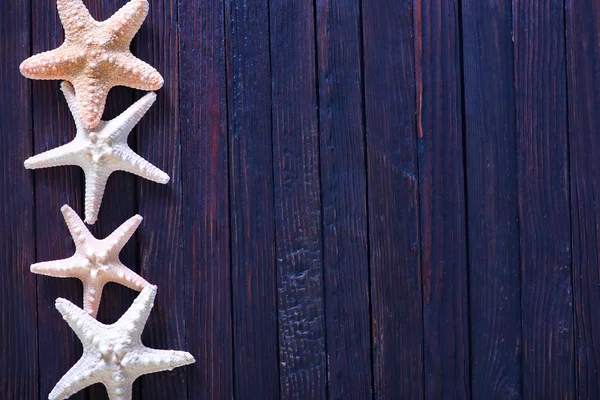 starfishes ahşap zemin üzerinde