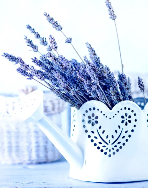 Bouquet of lavender flowers — Stock Photo, Image
