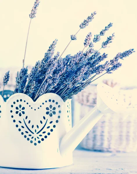 Bouquet von Lavendelblüten — Stockfoto