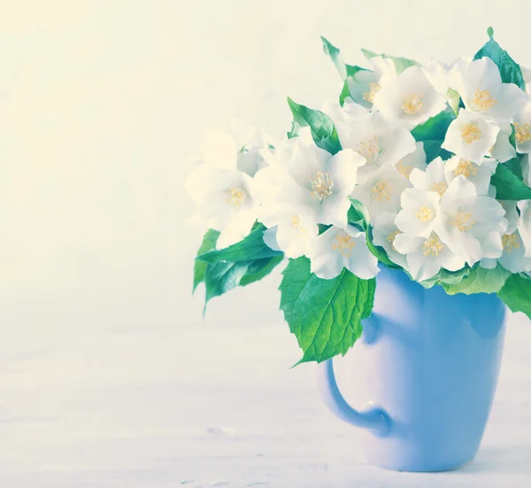 Boeket van jasmijn bloemen — Stockfoto