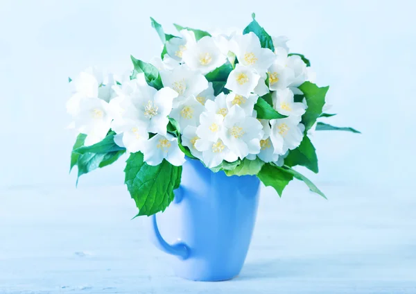 Boeket van jasmijn bloemen — Stockfoto