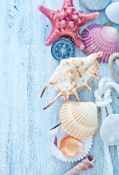 Conchas do mar nas tábuas de madeira — Fotografia de Stock