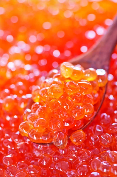 Caviar de salmón rojo —  Fotos de Stock