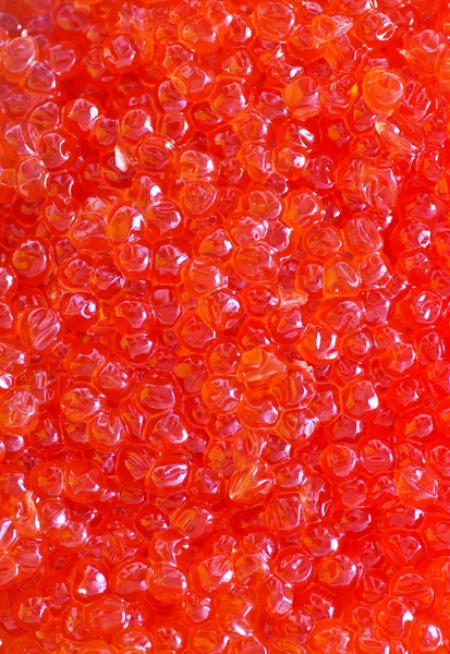 Caviar de salmão vermelho — Fotografia de Stock