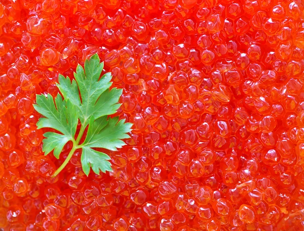 Caviar de salmón rojo —  Fotos de Stock