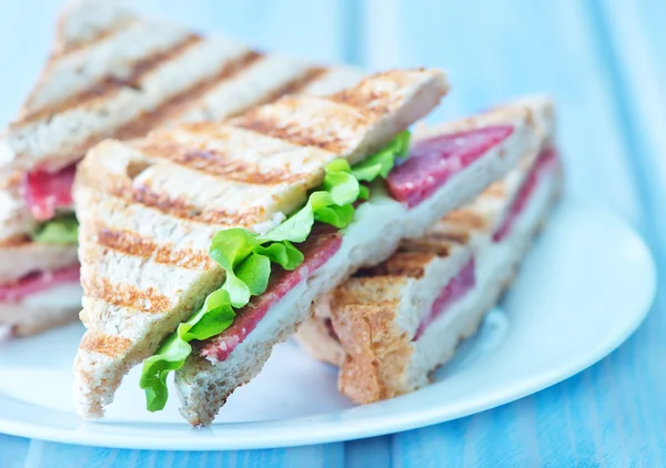 Sabrosos sándwiches en plato — Foto de Stock