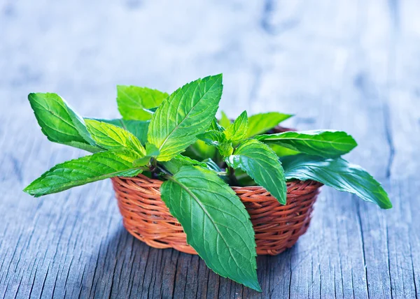 Fresh mint leaves — Stock Photo, Image