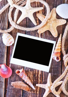 Deniz kabukları ile boş fotoğraf