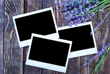 Lavanta çiçekleri ile boş fotoğraf