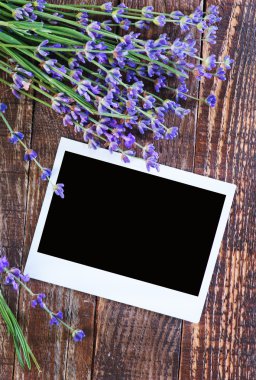 Lavanta çiçekleri ile boş fotoğraf