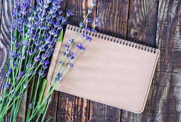 Lavendelblüten mit Notizbuch — Stockfoto