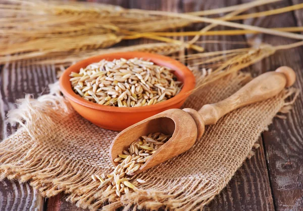 Avena seca en tazón —  Fotos de Stock