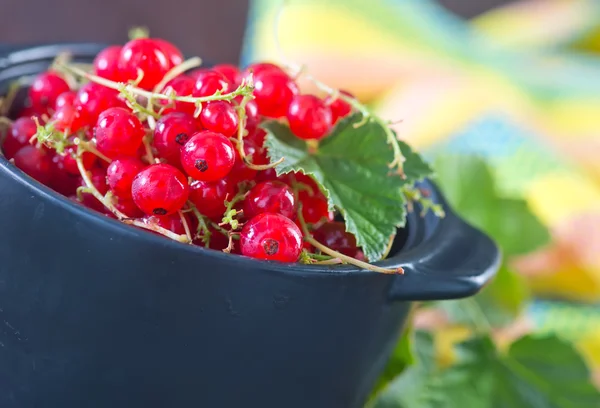 Red currant in black bowl — Stock Photo, Image