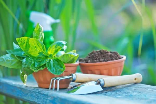 Utensilios de jardinería sobre una mesa — Foto de Stock