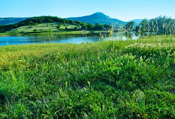 Jezero a zelená tráva — Stock fotografie