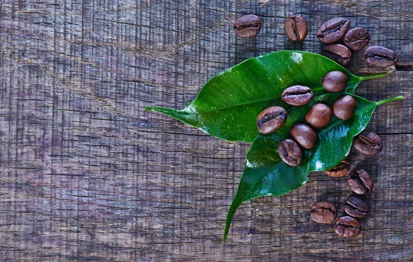 Granos de café y hojas verdes —  Fotos de Stock