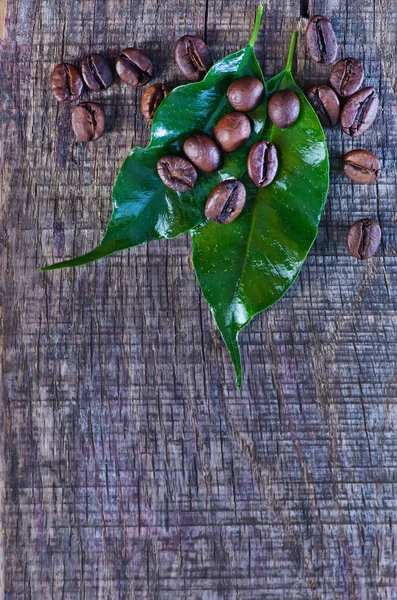 Granos de café y hojas verdes — Foto de Stock
