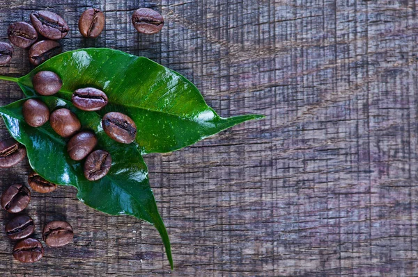 Grãos de café e folhas verdes — Fotografia de Stock