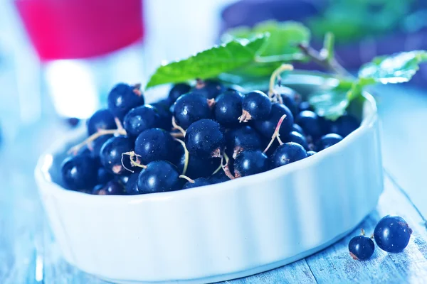 Fresh black currant — Stock Photo, Image