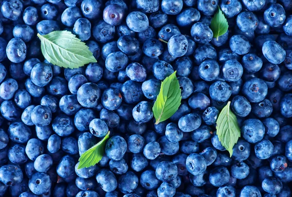 Fresh blueberry on a table — Stock Photo, Image