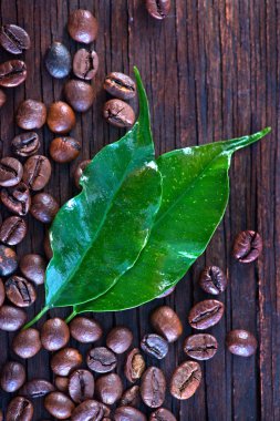 kahve çekirdekleri ve yaprak